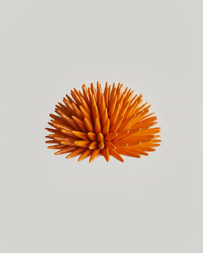 Riccio - Monocolore