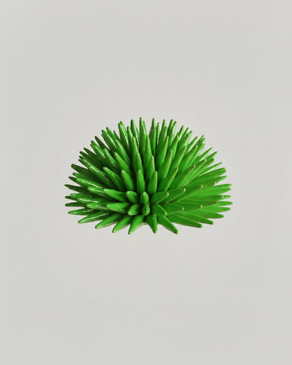 Riccio - Monocolore