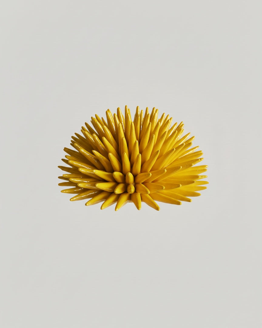 Riccio - Monocolore