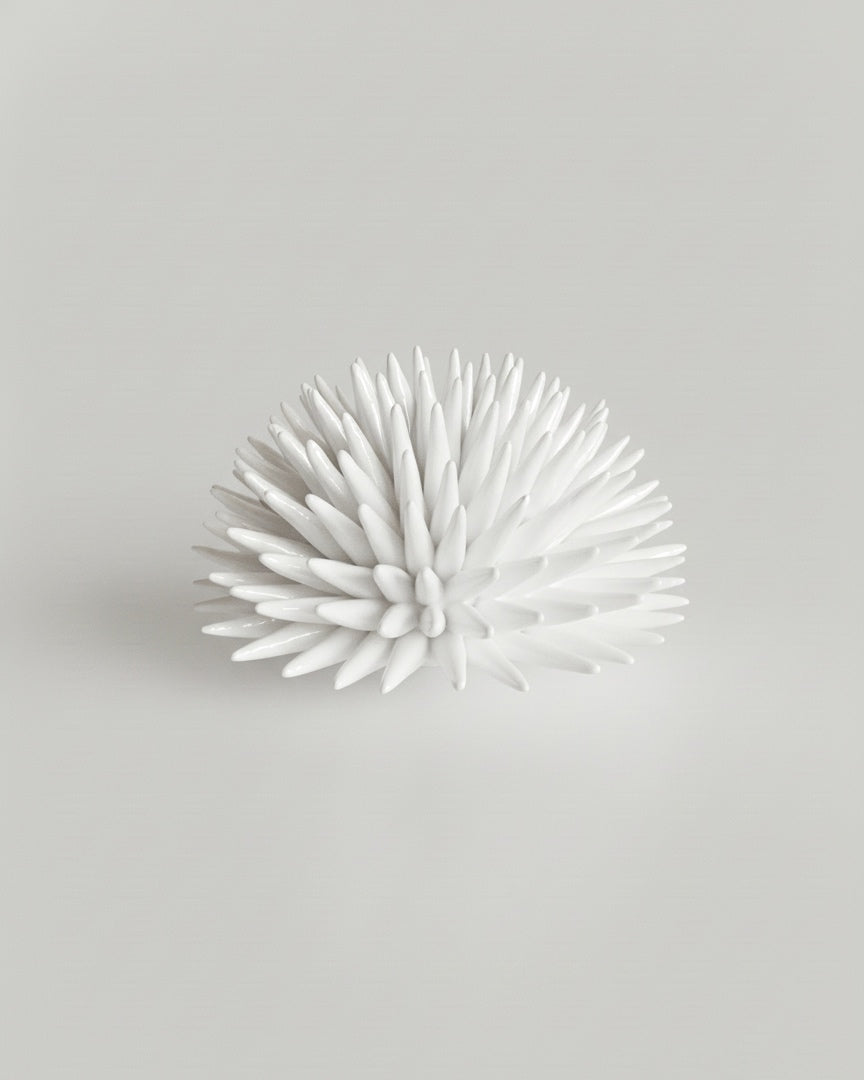 Riccio - Monocolore